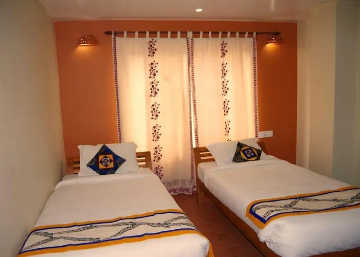 The Exotic House 2*